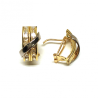 PENDIENTES ORO  BICOLOR 18KT  CIRCONITAS CIERRE OMEGA